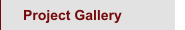 Project Gallery